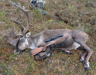 Screenshot 2026-01-02 110806.png Screenshot 2026-01-02 110806.png