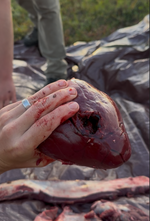 1767374095410.png 1767374095410.png