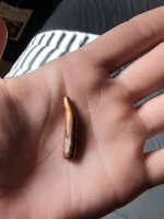 1767374165110.jpeg 1767374165110.jpeg