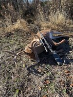 1767374585425.jpeg 1767374585425.jpeg