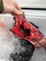 IMG_5912.jpeg IMG_5912.jpeg