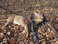 20251117_104107.jpg 20251117_104107.jpg