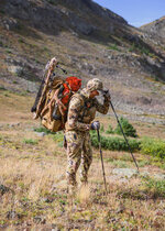 thegoosano.jpg thegoosano.jpg