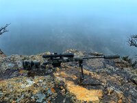 Snapseed.jpeg Snapseed.jpeg