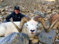 sheep 2016 20 big.jpg