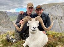 sheep 2020 2 big.jpg