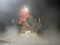 07f0a2d7-5186-443d-853b-cd7adec93408.jpg 07f0a2d7-5186-443d-853b-cd7adec93408.jpg