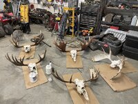 e235884b-3743-4a74-917d-7c41b1bcb6be.jpg e235884b-3743-4a74-917d-7c41b1bcb6be.jpg