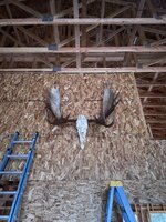 9565dc70-4705-41b4-96a8-550f68f99837.jpg 9565dc70-4705-41b4-96a8-550f68f99837.jpg