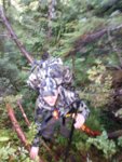 IMG_20190828_081749970_BURST000_COVER.jpg