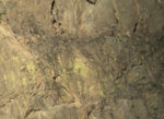B7D16795-D301-481E-9034-727F02B78731.jpeg