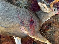 FullSizeRender.jpeg FullSizeRender.jpeg