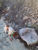 20251205_123824 (1).jpg