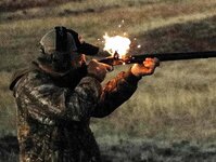 IMG_4578 Flash in the pan crop 3.jpg