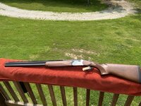 IMG_20250602_144001 Medium.jpeg