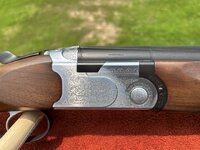 IMG_20250602_143949 Medium.jpeg