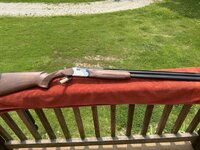 IMG_20250602_143925 Medium.jpeg