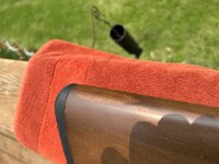 IMG_20250602_143930 Medium.jpeg