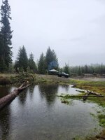 1000004468.jpg 1000004468.jpg