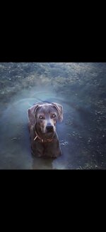 Screenshot_20260106_195057_Gallery.jpg Screenshot_20260106_195057_Gallery.jpg