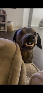 Screenshot_20260106_195012_Gallery.jpg Screenshot_20260106_195012_Gallery.jpg