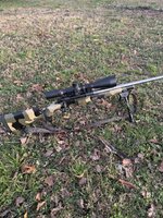 IMG_0576.jpeg IMG_0576.jpeg