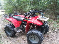ATV with 223.jpg