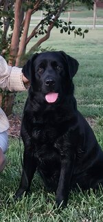 Resized_Screenshot_20251103_210329_Gallery (1).jpeg