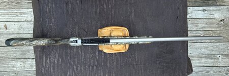 IMG_1911.jpeg IMG_1911.jpeg