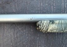 IMG_1919.jpeg IMG_1919.jpeg