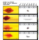 Screenshot_20260107_164029_Chrome.jpg Screenshot_20260107_164029_Chrome.jpg