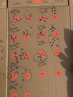 IMG_7544.jpeg IMG_7544.jpeg