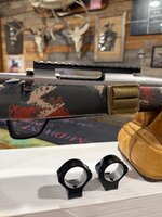 IMG_9740.jpeg IMG_9740.jpeg