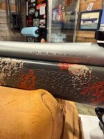 IMG_9742.jpeg IMG_9742.jpeg