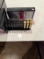 ammo 2.jpg