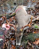 Screenshot_20260110_062514_Gallery.jpg Screenshot_20260110_062514_Gallery.jpg