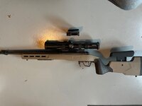 IMG_6959.jpeg IMG_6959.jpeg