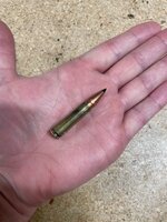 IMG_6961.jpeg IMG_6961.jpeg