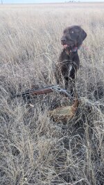 PXL_20260109_143523940.jpg PXL_20260109_143523940.jpg