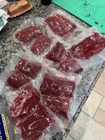 IMG_4599.jpeg IMG_4599.jpeg