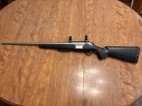 IMG_3404.jpeg IMG_3404.jpeg