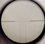 1768373774530.jpeg 1768373774530.jpeg