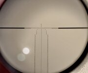 1768373882961.jpeg 1768373882961.jpeg