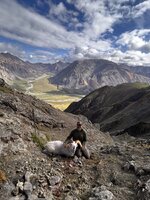 Tekla.jpeg Tekla.jpeg