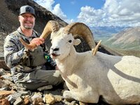 aoudad.jpeg aoudad.jpeg