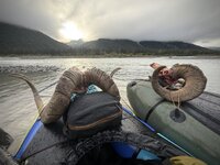 B_Reynolds_AK.jpeg B_Reynolds_AK.jpeg