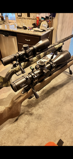 IMG_5456.png IMG_5456.png