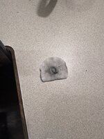 1768458348154.jpeg 1768458348154.jpeg