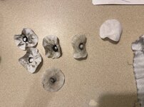 IMG_2995.jpeg IMG_2995.jpeg