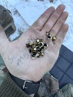 1768458735412.jpeg 1768458735412.jpeg